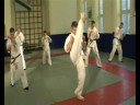 mazowiecki klub karate kyokushin