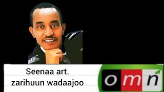 ZARIHUUN WADAAJOO.seenaa art. zarihuun wadaajoo.