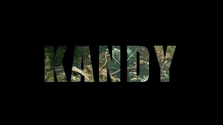 Werapitiya, Kandy |මහනුවර | Cinematic film #kandy #srilanka #cinematic #travel #mahanuwara