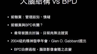 2014.05.10 深網智慧與腦資訊學 @ FJU CSIE 期末報告 - 邊緣性人格障礙與腦部之關聯