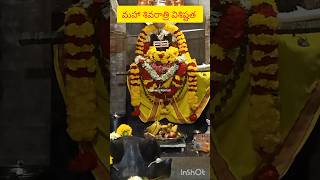 మహాశివరాత్రి విశిష్టత  చాగంటి వారి మాటలలో #viralvideo #గిరిప్రదిక్షణ #shiv #thiruvanamali #godgrace