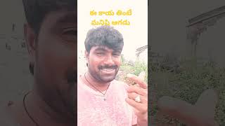 #shorts ఇది మీరు చూసి తింటే ఆగలేరు అంతే #howtosolvematers