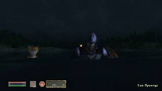 Oblivion funny glitch swimming NPCs