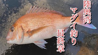 【青森県釣り】晩秋の陸奥湾マダイ釣り！！