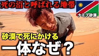 【ﾀﾋの沼】ほぼ地球の裏側から帰れなくなりそうです。ナミブ砂漠