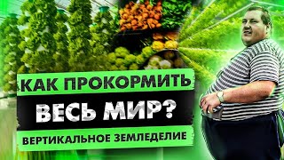 VERTICAL FARMING | КАК РЕШАЮТ ПРОБЛЕМУ ГОЛОДА С ПОМОЩЬЮ ВЕРТИКАЛЬНОГО ЗЕМЛЕДЕЛИЯ