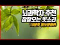 뇌과학자가 추천해주는 잠못드는밤 잠오게 해주는 빗소리ㅣ이명 이석증 불면증 완화 ㅣ10분후 검은 화면ㅣ백색소음 빗소리 ASMR