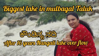 After 16 years Nangali lake overflowing|Koundinya lake|Biggest river in our Taluk|My Saffron's World