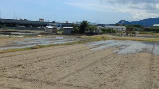 宝塚で農業体験！「田植え」宝塚駅前から車で10分！【ほーむべーす】