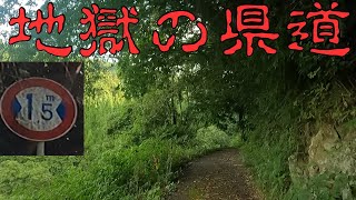 これが「県道」？そんなバカな… [超ド級険道   岡山県道455号]