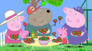 Granddad Dog's Greenhouse Tomatoes 🍅 | Peppa Pig Official Full Episodes