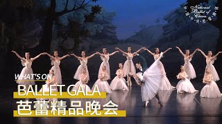 Ballet GALA-Three in One in NCPA | The Great Land: Wordless Dance, Wishes of Prosperity