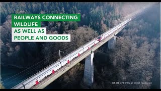 Rail Event - Railways connecting wildlife as well as people and goods: A focus on biodiversity