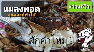 แมลงทอด จิ้งหรีดทอด Fried insects ทำเองง่ายๆ ถูกกว่า สะอาด อร่อยด้วย !!! กินแมลงทอด Bugs trybugs