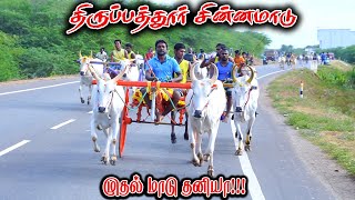 மாட்டு-திருப்பத்தூர்-பந்தயம்_08-09-2023