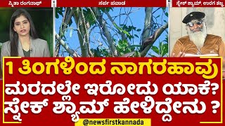 Cobra Snake : 1 ತಿಂಗಳಿಂದ ನಾಗರಹಾವು ಮರದಲ್ಲೇ ಮಲಗಿರೋದು ಯಾಕೆ ? ಸ್ನೇಕ್ ಶ್ಯಾಮ್​ ಹೇಳಿದ್ದೇನು ? | Chikka Kere