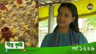 Contract Broiler Farming | কন্টাক্ট ব্রয়লার ফার্মিং করলে একজন খামারি কতটা লাভবান হতে পারেন | EP 1226