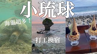 ［小琉球打工換宿］ 海龜真的隨處可見啊！打工換宿遊小琉球｜小琉球vlog 泳池酒吧 小島日常