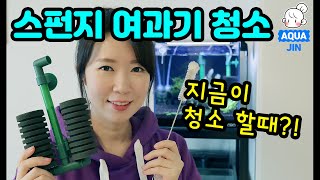 (ENG) 스펀지 여과기 청소 \u0026 소음 줄이기 how to clean a sponge filter fish tank \u0026 less noise