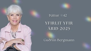 #42 YFIRLIT YFIR ÁRIÐ 2025