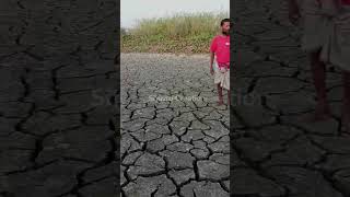 গ্রীষ্মের প্রচণ্ড তাপদাহে মাঠে ফেটে চৌচির #heatwaves #viral #weather #climatechange