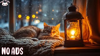 Rainy Day Relaxation 🐈 Calming Music for Cats with Rain Sound and Cat Purring - Sleepy Cat