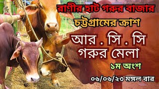 রাণীর হাট গরুর বাজার। চট্টগ্রামের ক্রাশ আর . সি . সি গরুর মেলা। ০৬/০৬/২৩ মঙ্গল বার - ১ম অংশ। RCC গরু