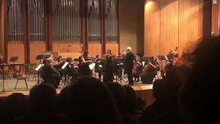 Bach - Concerto for two violins in D minor BWV 1043