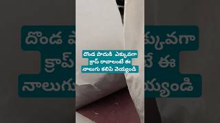 దొండ పాదుకి ఎక్కువగా క్రాప్ రావాలంటే ఈ నాలుగు కలిపి వెయ్యండి # (గిరి గార్డెన్స్ ఛానల్)