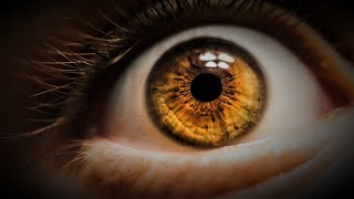 Test your visual processing power limits!
