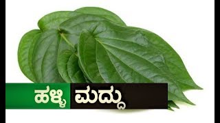 ಹಳ್ಳಿ ಮದ್ದು - ವೀಳ್ಯದೆಲೆಯ ಅದ್ಬುತ ಲಾಭಗಳು || Health Benefits of Betel Leaves | UDAYAVANI