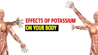 Effects of Potassium on the body