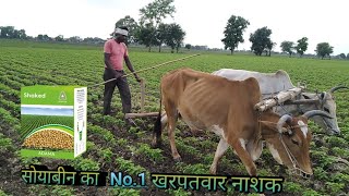 adama shaked herbicide, kharpatwar nashak, agli, soybean, kharpatwar nashakDawai, #kharptbarnashak,