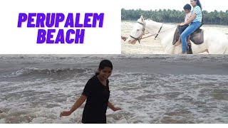 Perupalem beach in West Godavari | Horse Ride| Best Tourism Spot