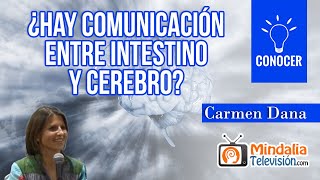 ¿Hay comunicación entre intestino y cerebro?, por Carmen Dana