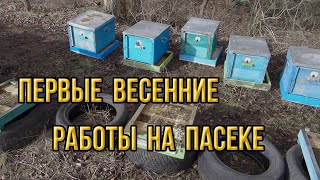 Контроль зимовки пчелосемей, первые весенние работы на пасеке, смена доньев и прочее