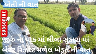 જીરું ના પાક માં લીલા સુકારા માં બેસ્ટ રિઝલ્ટ મળેલ ખેડૂત ની વાત