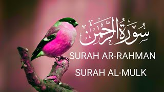 Surah Rahman | Al Mulk |  Surah AL-Mulk: Surah Ar-Rahman Full 🌹