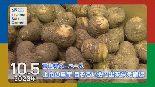 出来栄えや如何に 上市で里芋目ぞろえ会【2023.10.5 富山県のニュース】