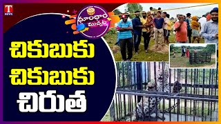 Forest Department Officials Catches Leopard In Medak | Dhoom Dhaam Muchata | T News