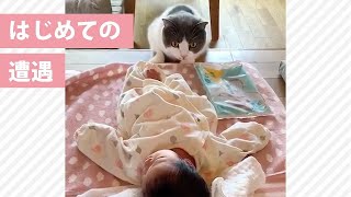 妹との初対面でニャンコのドキドキが止まらない。