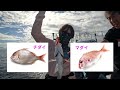 和歌山沖　slj＆タイラバ釣行　高級魚を狙え！！