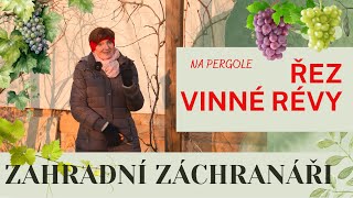 Řez vinné révy na pergole: Zásady pro správný růst a úrodu 🍇