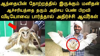 ஆந்தை ரூபத்தில் இருக்கும் மனிதன்..அதிசயத்தை தரும் பெண் பிறவி வீடியோவை பாருங்க | panchumethai