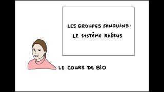 Les groupes sanguins : le système Rhésus