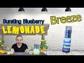 Bursting or Bust?! Breeze Bursting Blueberry Lemonaide 1G Disposable