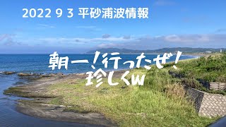 早起きは！♡平砂浦波情報