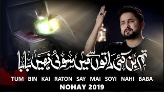 Nohay 2019 | Tum Bin Kai Raaton Se Main Soye Nahi Baba | Syed Raza Abbas Zaidi | Bibi Sakina Noha