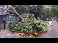 20180917 The day after Typhoon Mangkhut Taifun Taifeng cleaning time