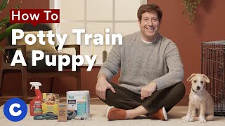 How To Potty Train a Puppy | Chewtorials